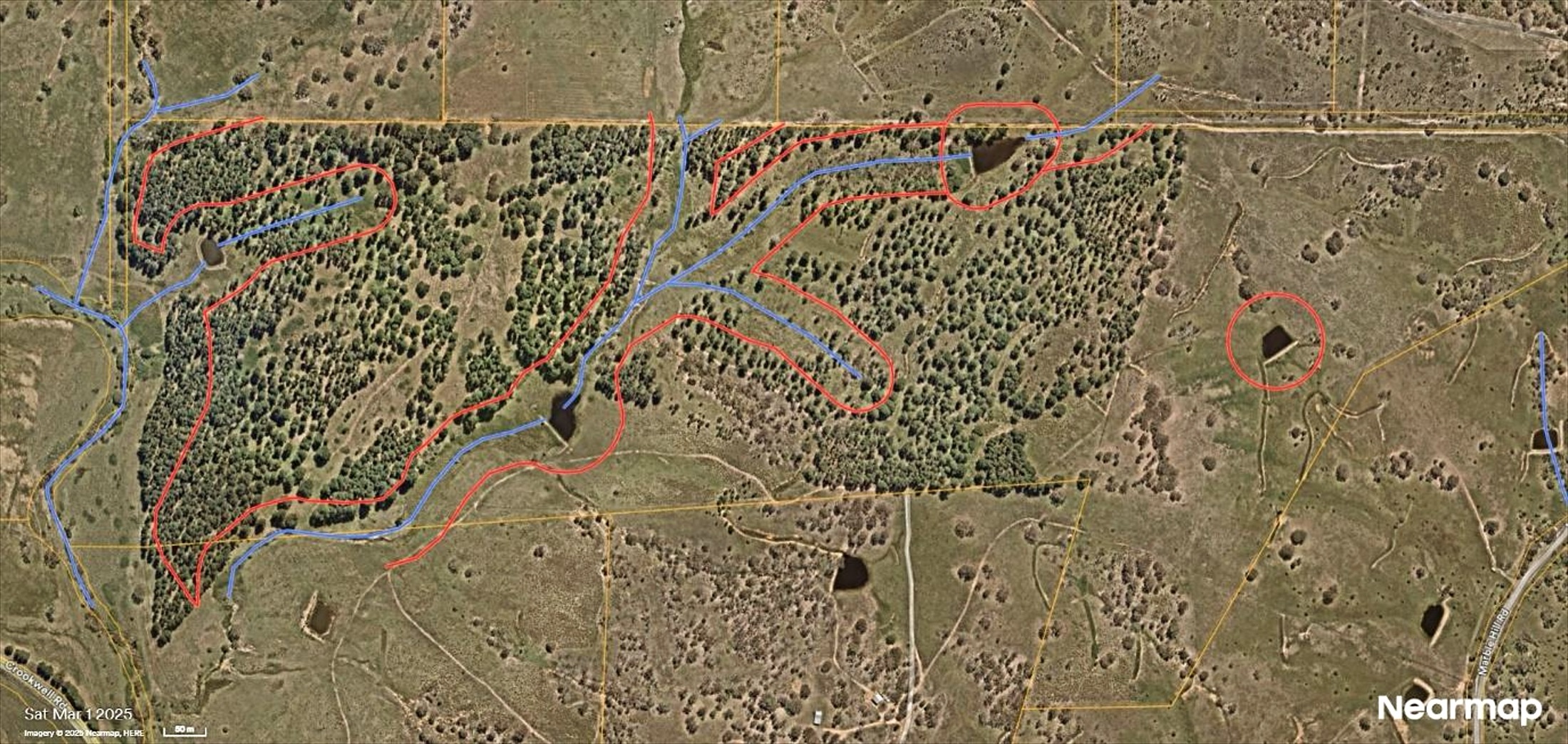 Aerial view of pasture and forest